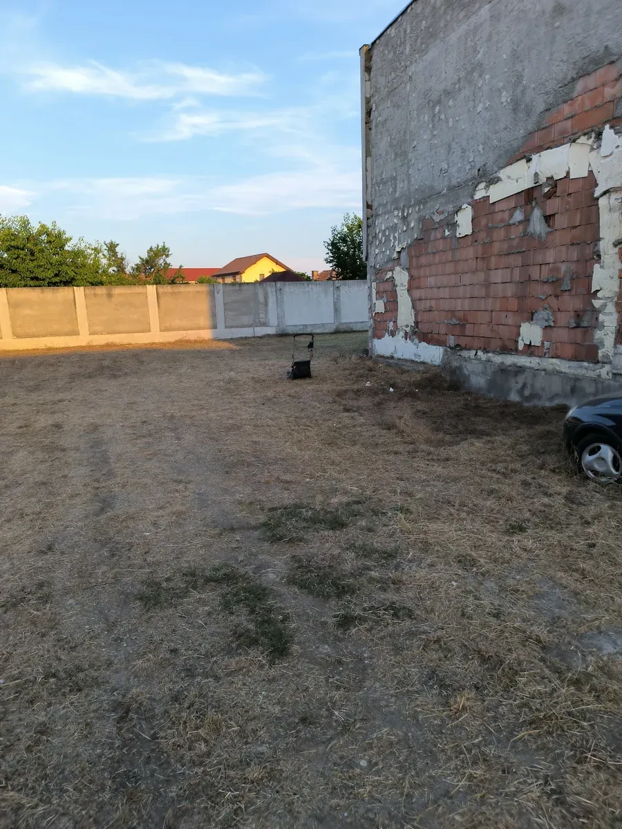 După lucrare: Tăiere iarbă mare și defrișare ușoară în Arad