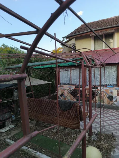 După lucrare: curte amenajată și pergolă eliberată de vegetație în Arad